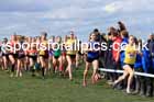 Intermediate Girls 2024 English Schools Cross Country Champs., Pontefract, March 16th.  Photo: David T. Hewitson/Sports for All Pics